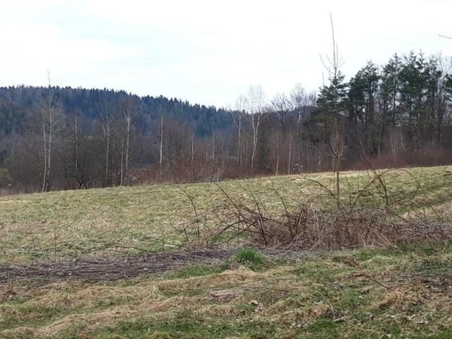 Grunt na sprzedaż w Maków Podhalański, Małopolskie