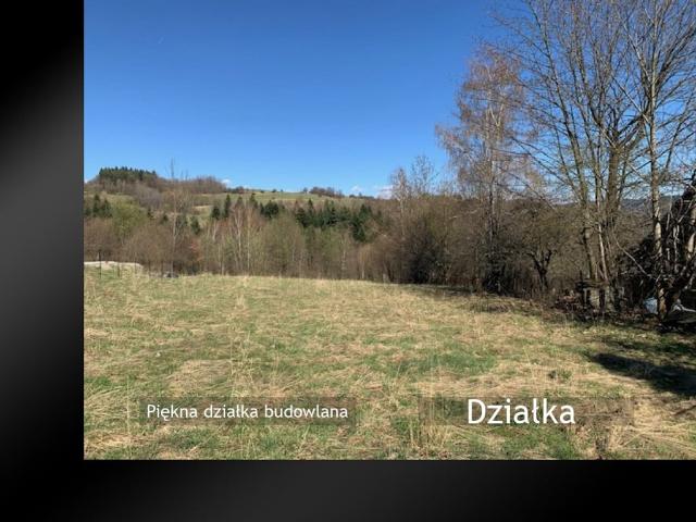 Grunt na sprzedaż w Żywiec, Śląskie