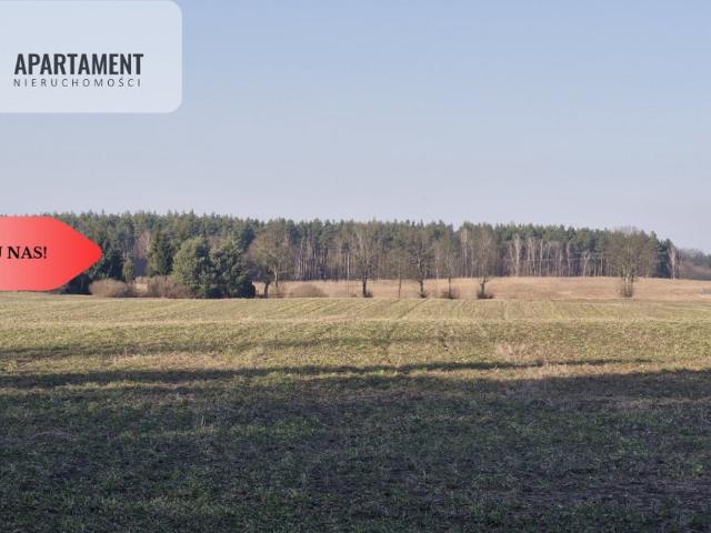 Grunt na sprzedaż w Unisław, Kujawsko-pomorskie