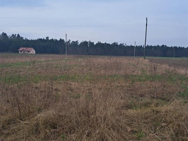 Grunt na sprzedaż w Krucz, Wielkopolskie