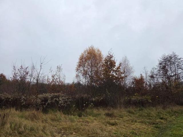 Grunt na sprzedaż w Mogilany, Małopolskie
