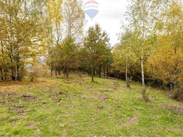 Grunt na sprzedaż w Żywiec, Śląskie