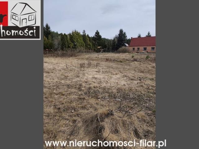 Grunt na sprzedaż w Drzewce, Kujawsko-pomorskie