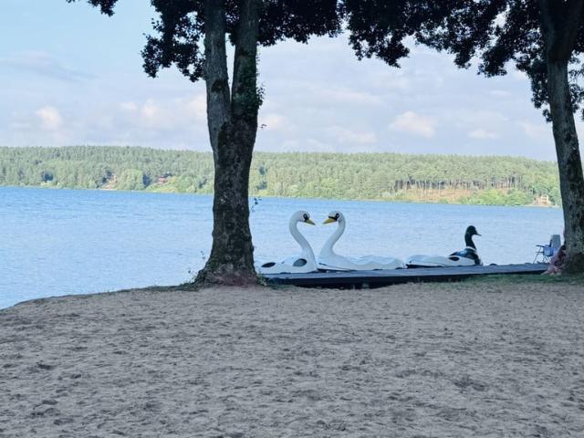 Grunt na sprzedaż w Żuromino, Pomorskie