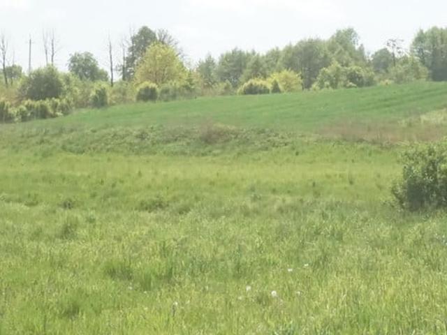 Grunt na sprzedaż w Piekary, Małopolskie