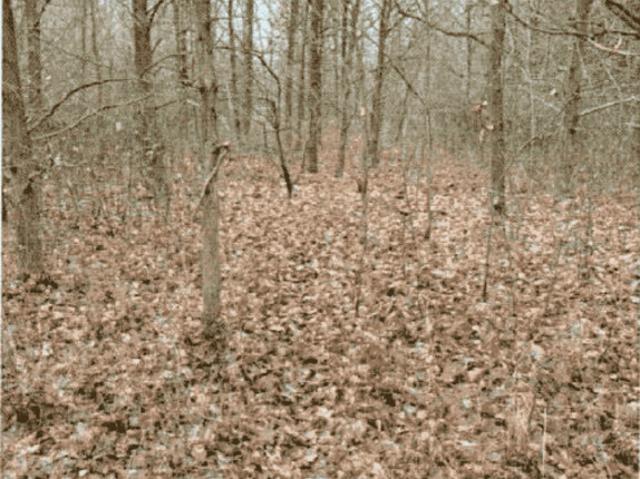Grunt na sprzedaż w Starachowice, Świętokrzyskie