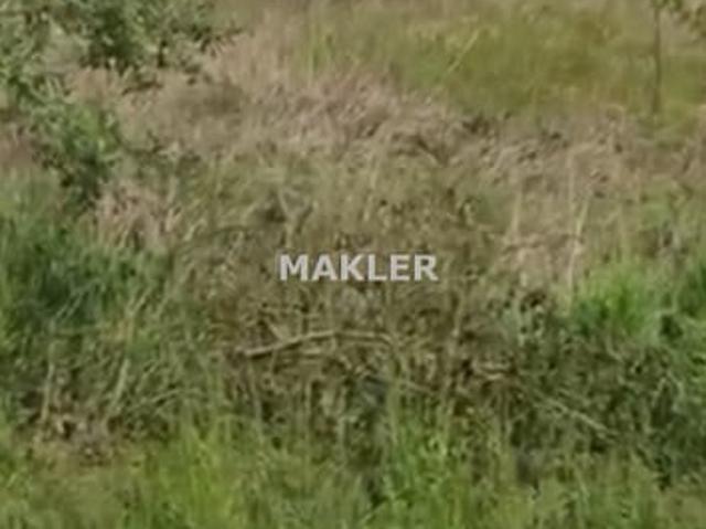 Grunt na sprzedaż w Świecie, Kujawsko-pomorskie