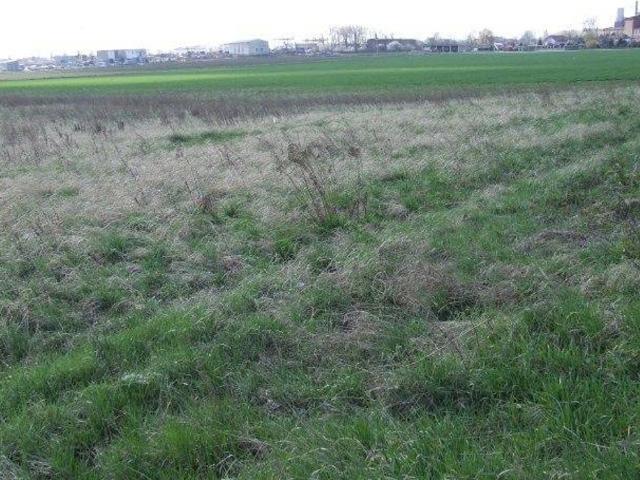 Grunt na sprzedaż w Strzegom, Dolnośląskie