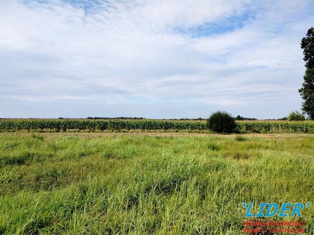 Grunt na sprzedaż w Międzyrzecze, Śląskie