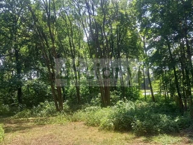 Grunt na sprzedaż w Podkowa Leśna, Mazowieckie