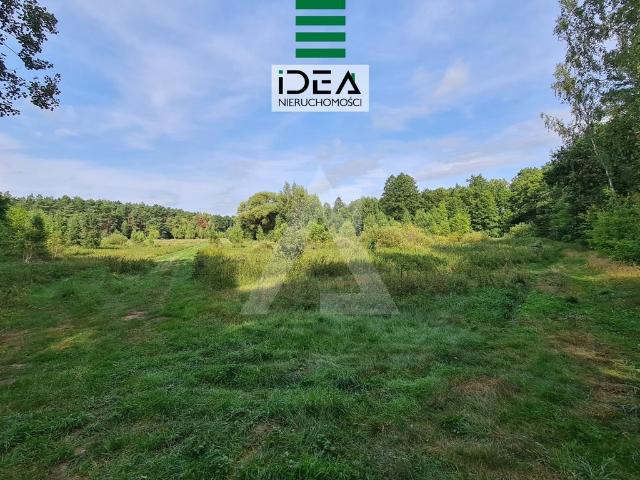 Grunt na sprzedaż w Olimpin, Kujawsko-pomorskie