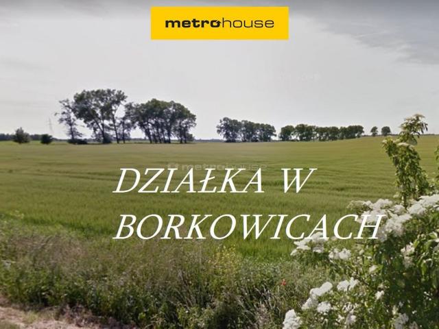 Grunt na sprzedaż w Borkowice, powiat poznański