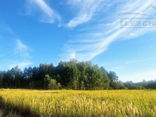 Grunt na sprzedaż w Rusiec, Mazowieckie