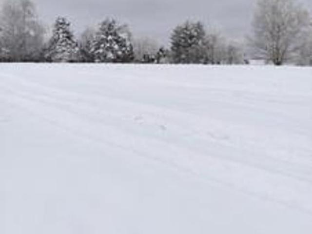 Grunt na sprzedaż w Jaworzynka, Śląskie