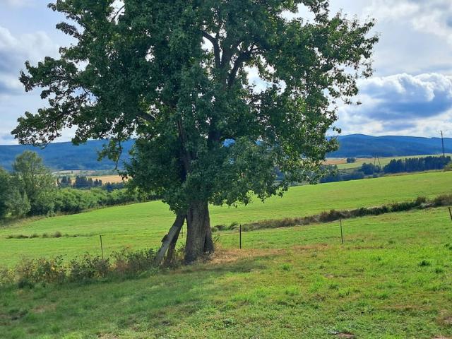 Grunt na sprzedaż w Batorów, Szczytna