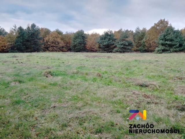 Grunt na sprzedaż w Świdnica, powiat zielonogórski