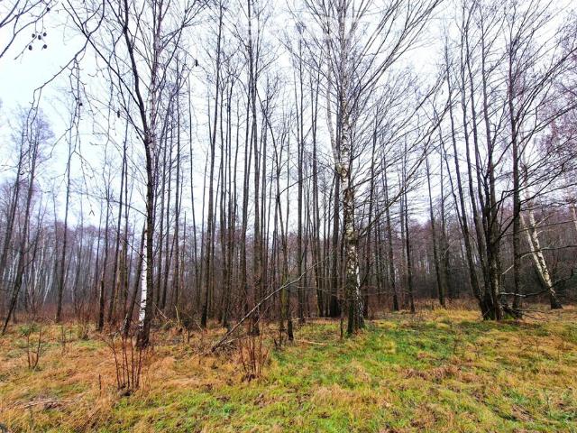 Grunt na sprzedaż w Biała Podlaska, Lubelskie