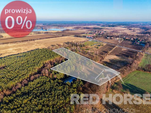 Grunt na sprzedaż w Kuźniczysko, Dolnośląskie