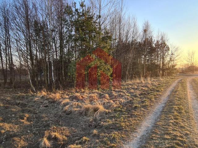 Grunt na sprzedaż w Dąbrowica, Małopolskie