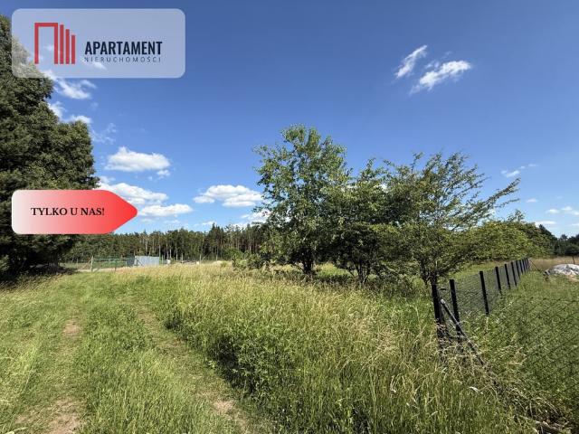 Grunt na sprzedaż w Czarna Woda, Pomorskie
