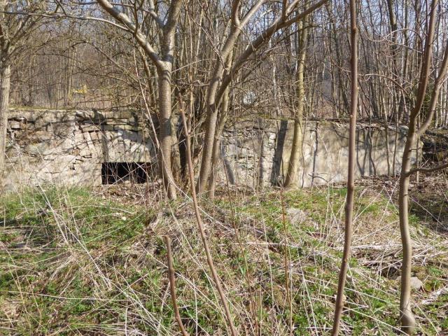 Grunt na sprzedaż w Lewin Kłodzki, Dolnośląskie