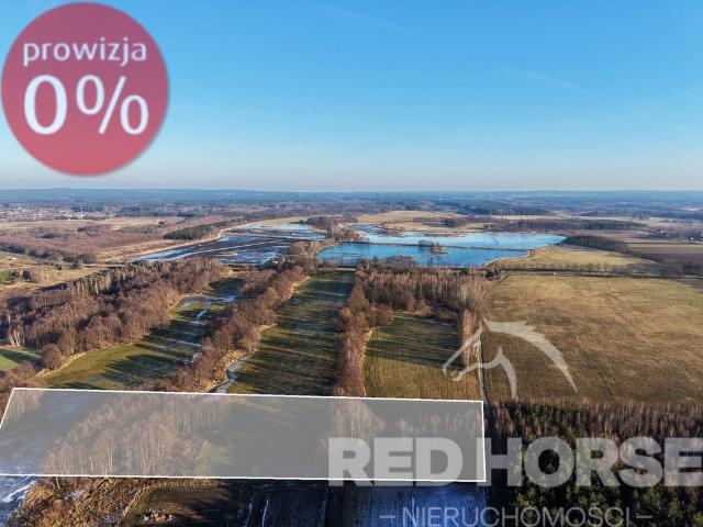 Grunt na sprzedaż w Kuźniczysko, Dolnośląskie