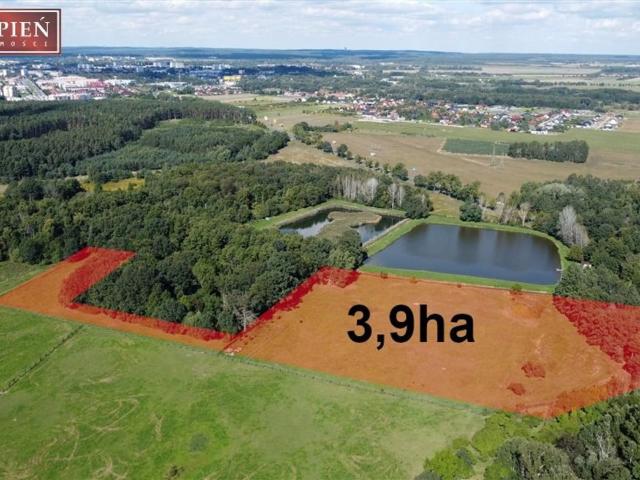 Grunt na sprzedaż w Osiek, Dolnośląskie