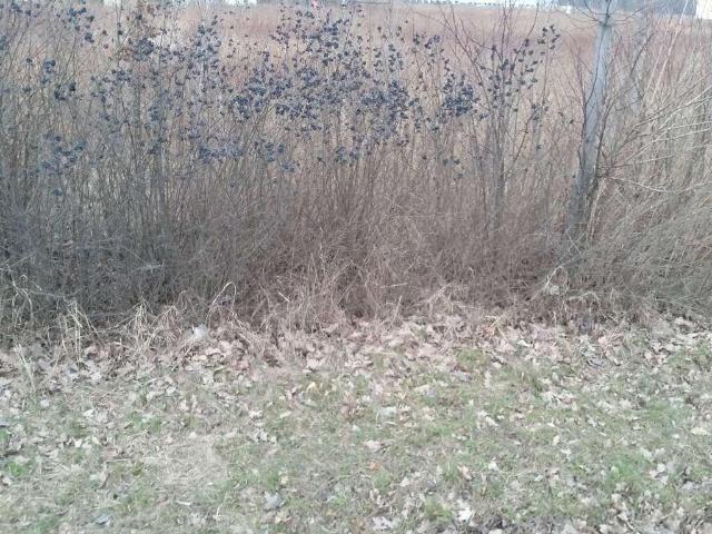 Grunt na sprzedaż w Długołęka, powiat wrocławski