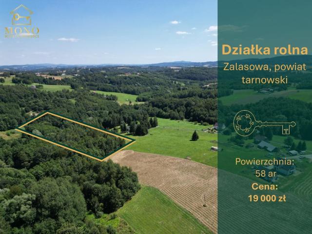 Grunt na sprzedaż w Dolce, Zalasowa
