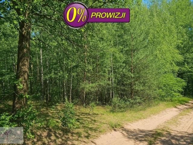 Grunt na sprzedaż w Józefów, Brójce