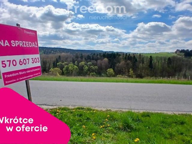 Grunt na sprzedaż w Hyżne, Podkarpackie