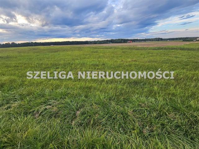 Grunt na sprzedaż w Kleszczów, Śląskie