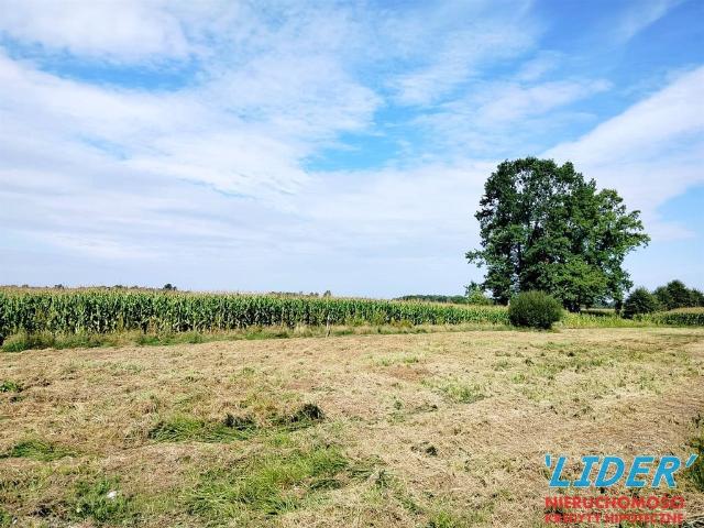 Grunt na sprzedaż w Międzyrzecze, Śląskie