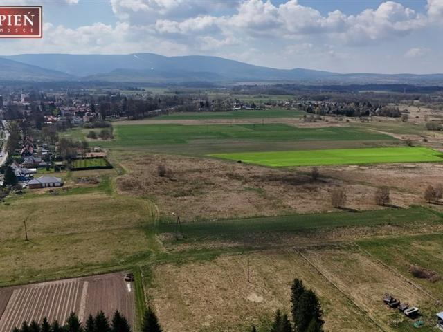 Grunt na sprzedaż w Mirsk, powiat lwówecki