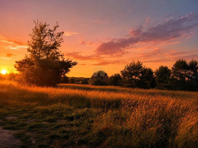 Grunt na sprzedaż w Niemstów, Dolnośląskie