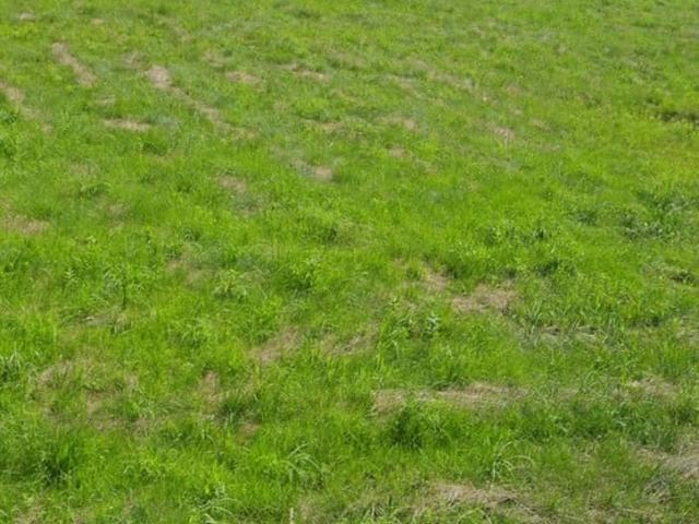 Grunt na sprzedaż w Istebna, Śląskie
