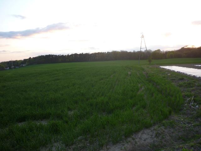Grunt na sprzedaż w Dąbrowa Chełmińska, Kujawsko-pomorskie