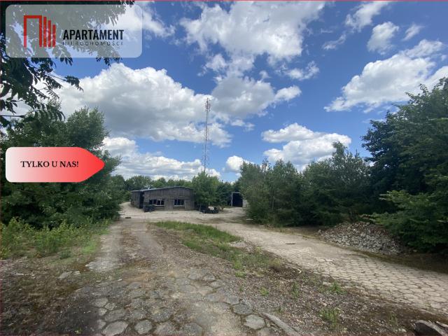 Grunt na sprzedaż w Lubiewo, Kujawsko-pomorskie