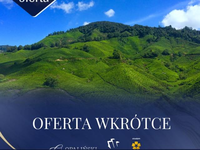 Grunt na sprzedaż w Podkościele, Żołynia