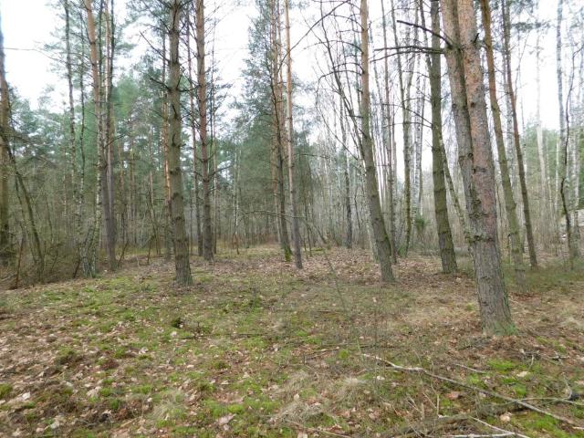 Grunt na sprzedaż w Wiązowna, Mazowieckie