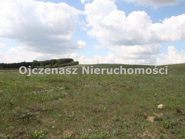 Grunt na sprzedaż w Nekla, Kujawsko-pomorskie