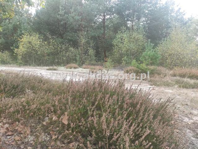 Grunt na sprzedaż w Nowe Polesie, Mazowieckie