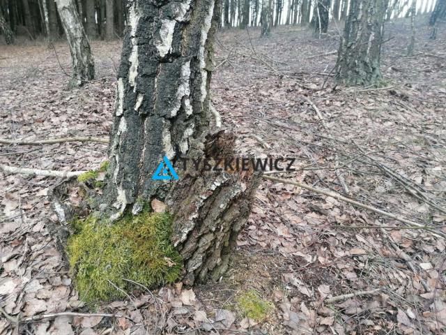 Grunt na sprzedaż w Kujawsko-pomorskie