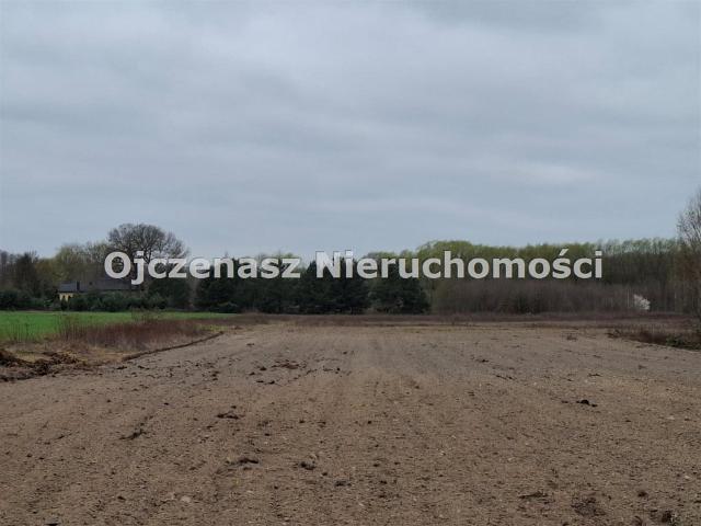 Grunt na sprzedaż w Dąbrowa Chełmińska, Kujawsko-pomorskie