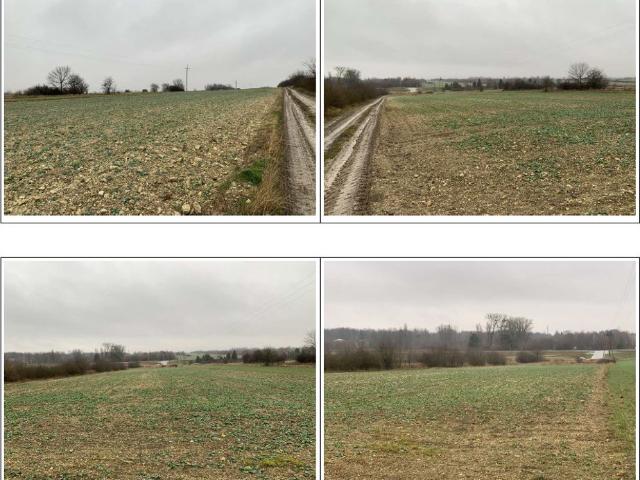 Grunt na sprzedaż w Kraśnik, Lubelskie