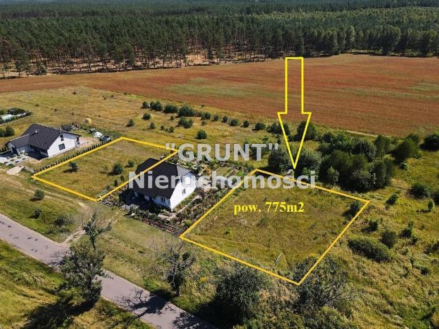 Grunt na sprzedaż w Plecemin, Wielkopolskie