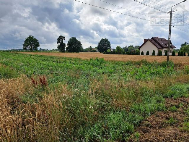 Grunt na sprzedaż w Teresin, Mazowieckie