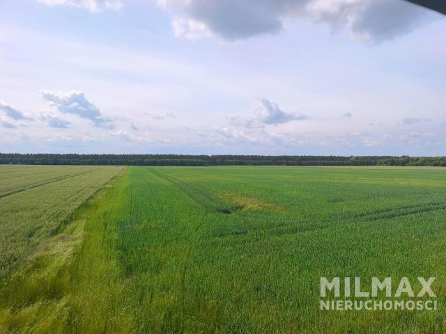Grunt na sprzedaż w Mieszkowice, Zachodniopomorskie