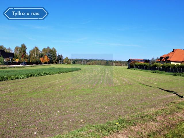 Grunt na sprzedaż w Pierzchno, Śląskie