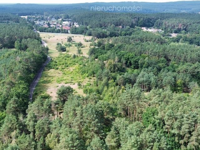 Grunt na sprzedaż w Chodzież, Wielkopolskie